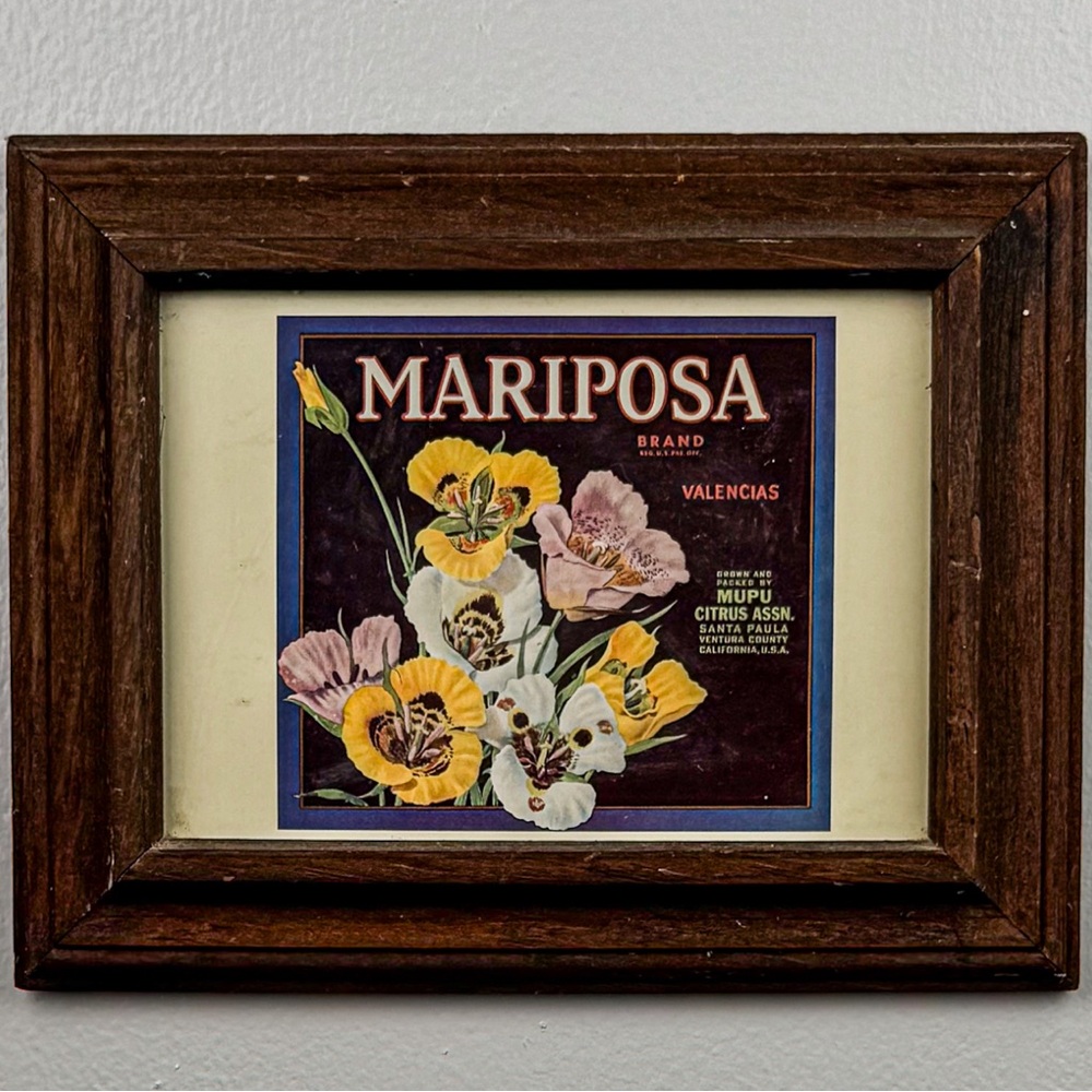 Vintage Mariposa Floral Citrus Label Framed Art Print